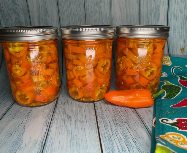 Pickled & Canned Tangerine Peppers