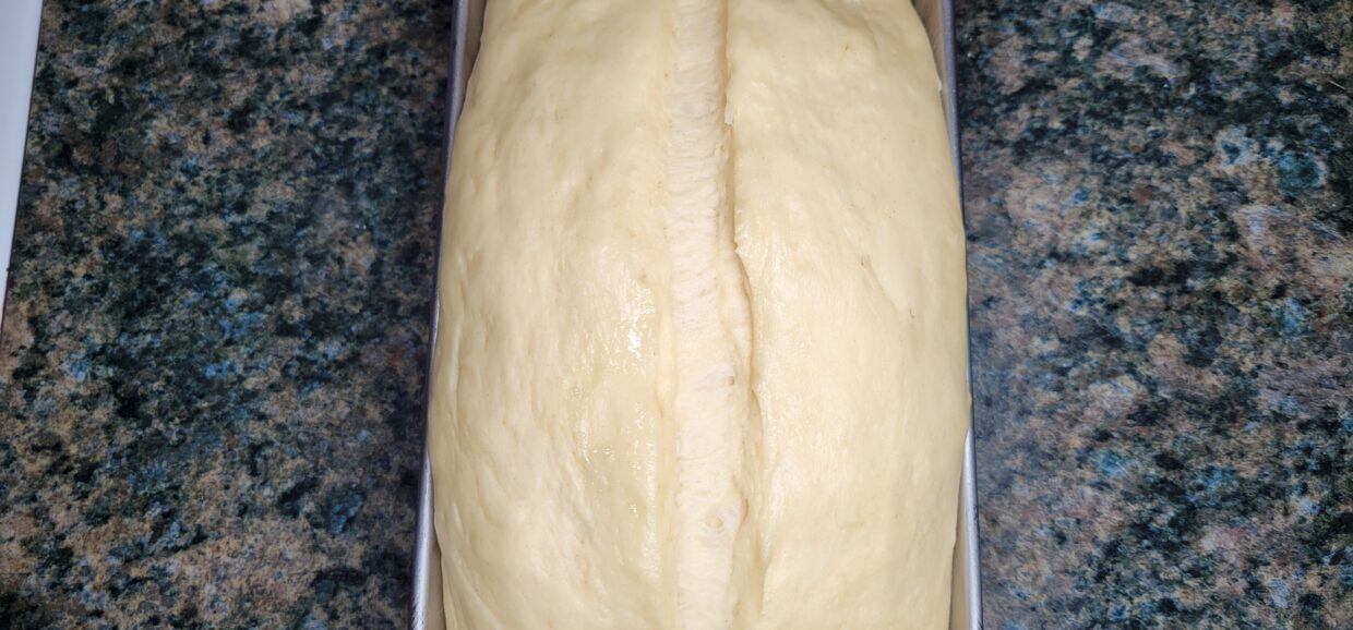 Easy Sandwich Bread