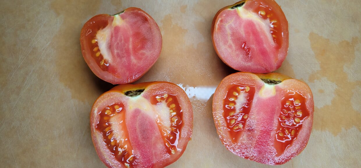 Mozzarella Cheese Baked Tomatoes