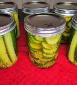 Dill Pickles Recipe & Canning