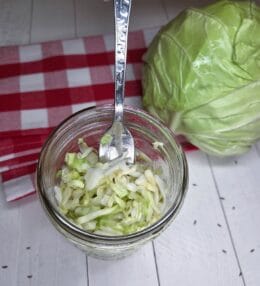 Quick Fresh Sauerkraut-Style Cabbage