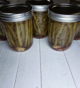Spicy Pickled Dilly Beans (Pickled Green Beans)