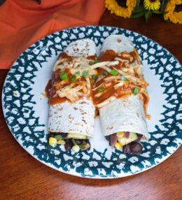 Vegan Vegetable Enchiladas