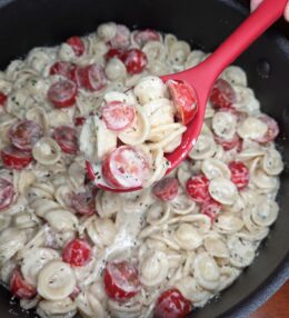 Creamy Tomato Garlic Parmesan Pasta